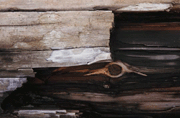 Gallery image 7