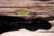 Gallery image 7