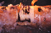 Gallery image 8